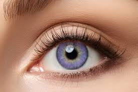 Amethyst Contact Lenses | Amethyst Eye Contacts | Amethyst  Lenses – Lensmate