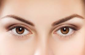 Honey Brown Eye Color: A Warm and Alluring Gaze